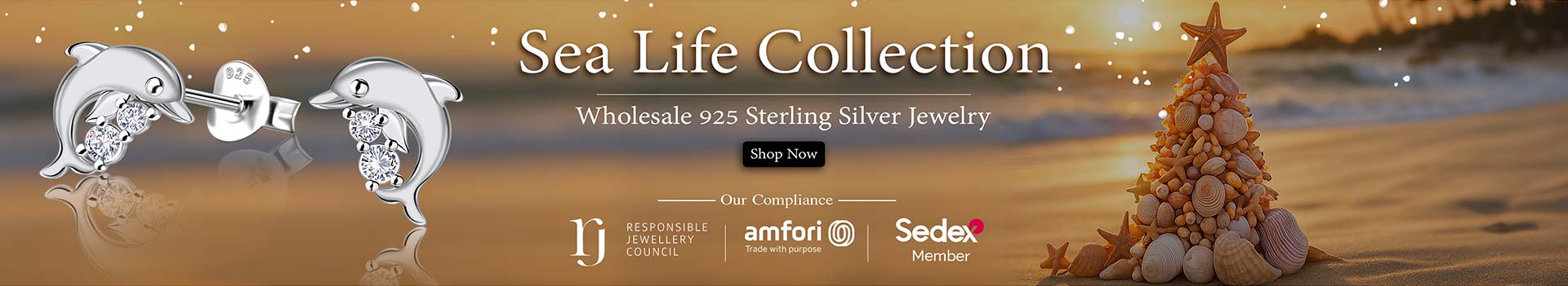 925 Silver Jewelry